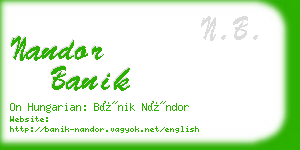 nandor banik business card